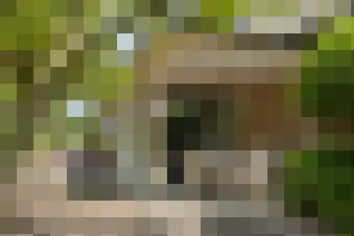 Rietweg 2 Harskamp thumbnail 89
