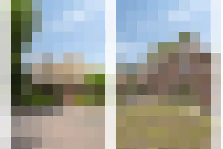 Rietweg 2 Harskamp thumbnail 9