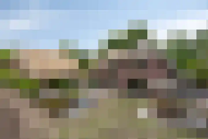 Rietweg 2 Harskamp thumbnail 93