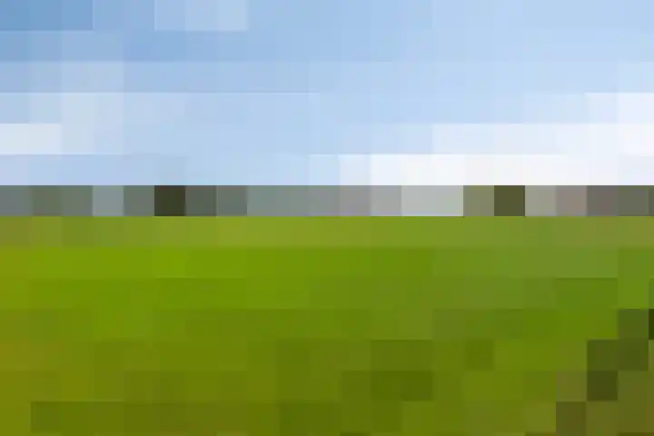 Rietweg 2 Harskamp thumbnail 94