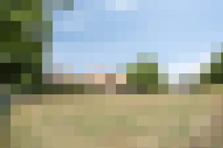Rietweg 2 Harskamp thumbnail 95