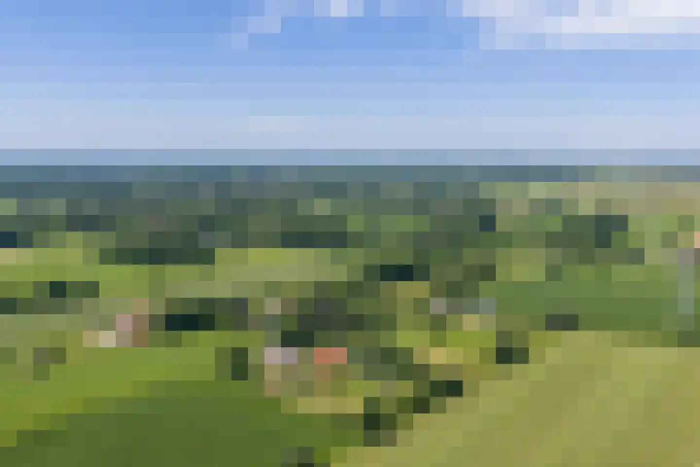Rietweg 20 Peize thumbnail 100