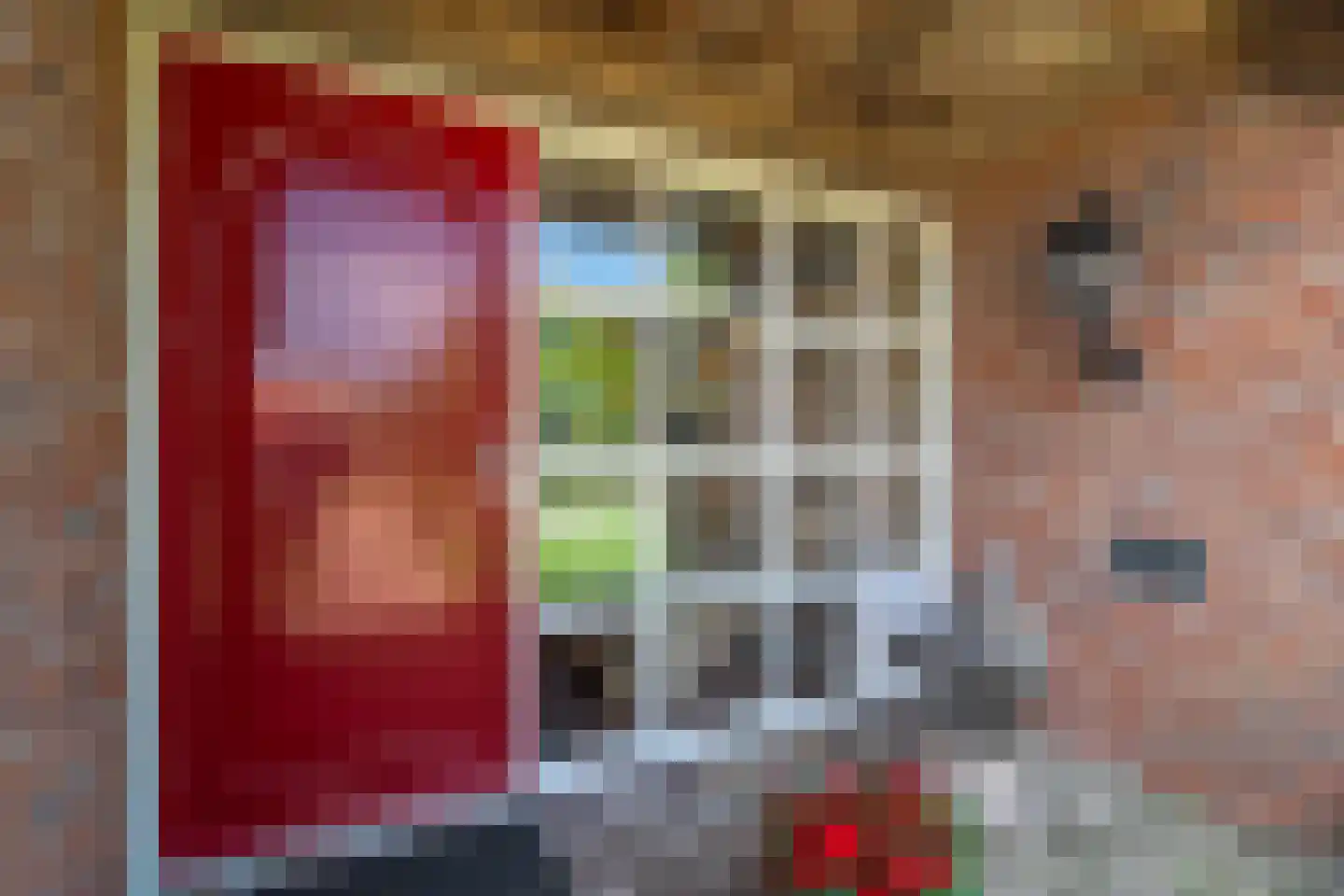 Rietweg 20 Peize thumbnail 12