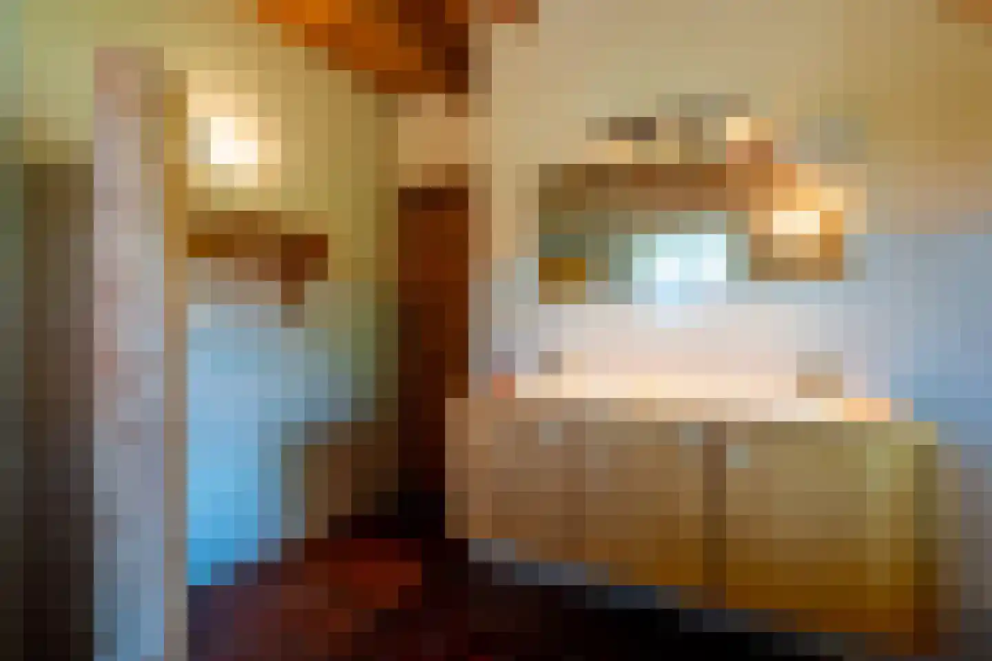 Rietweg 20 Peize thumbnail 41