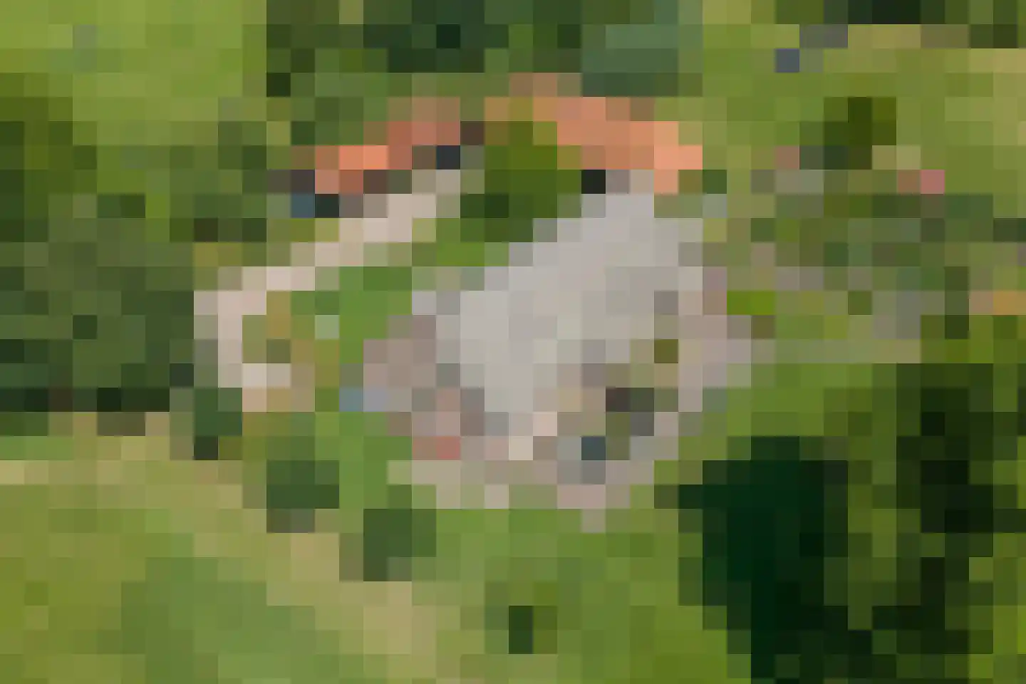 Rietweg 20 Peize thumbnail 6