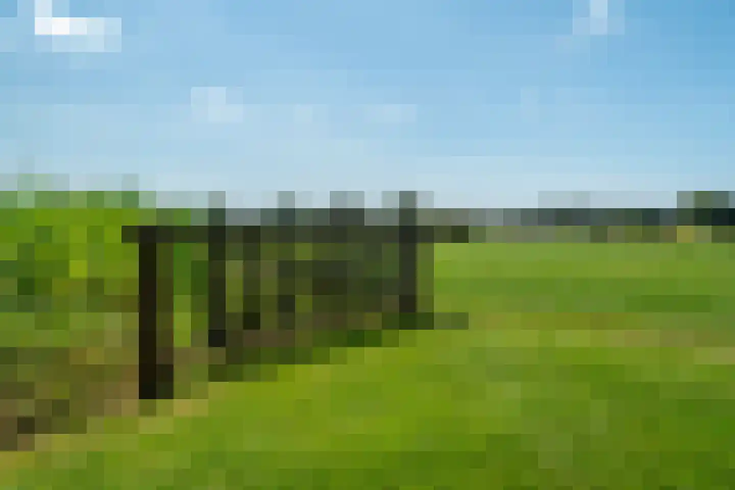 Rietweg 20 Peize thumbnail 63