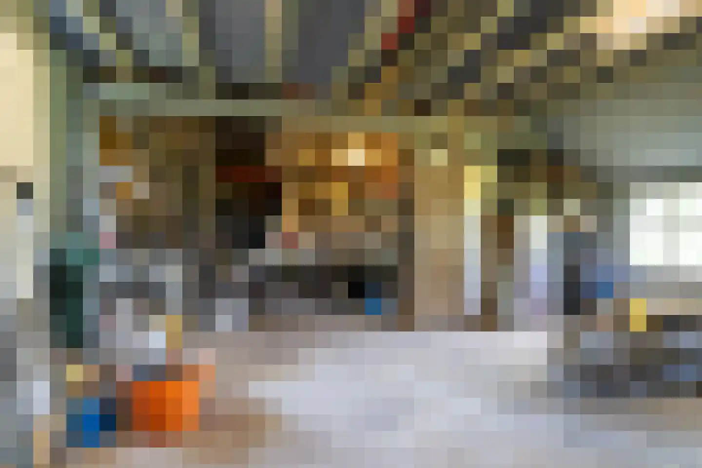 Rietweg 20 Peize thumbnail 70