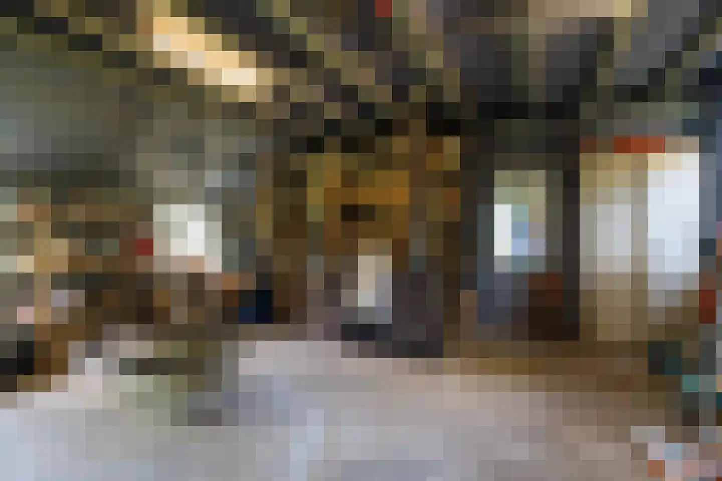 Rietweg 20 Peize thumbnail 71