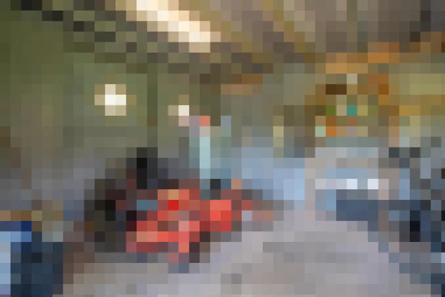 Rietweg 20 Peize thumbnail 72