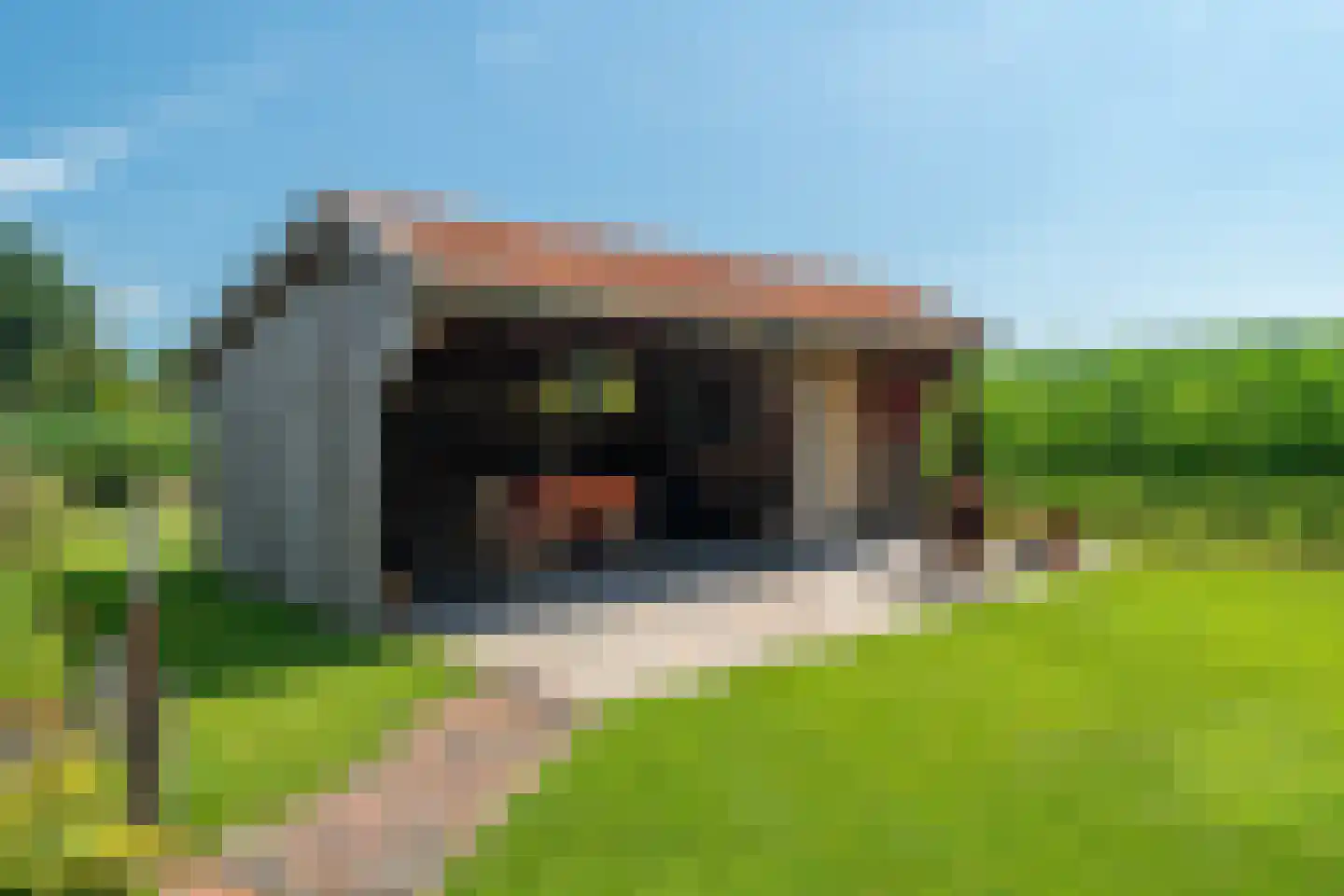 Rietweg 20 Peize thumbnail 76
