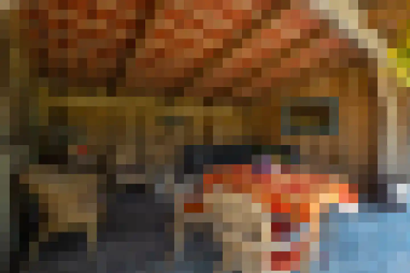 Rietweg 20 Peize thumbnail 77