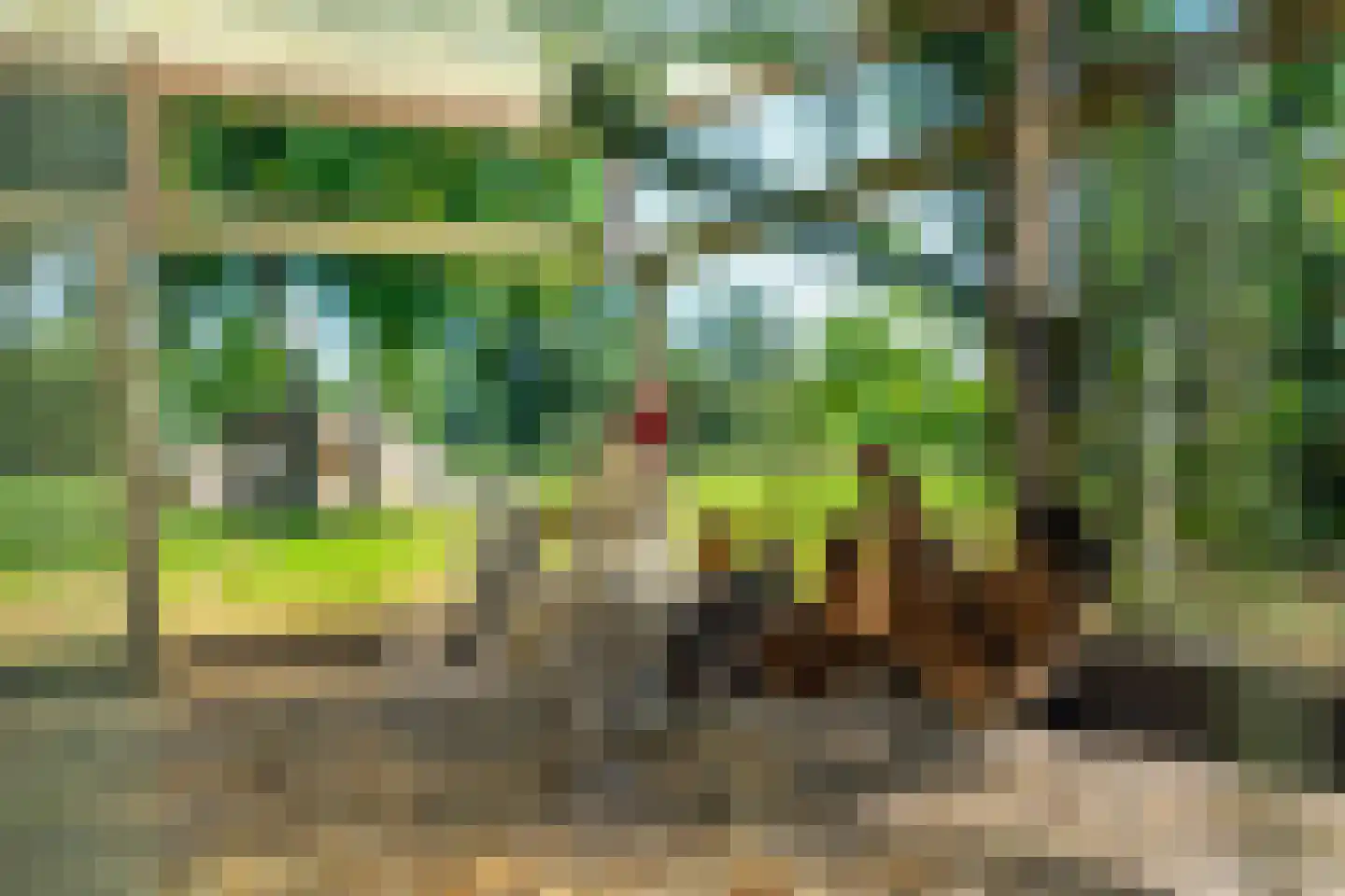 Rietweg 20 Peize thumbnail 80