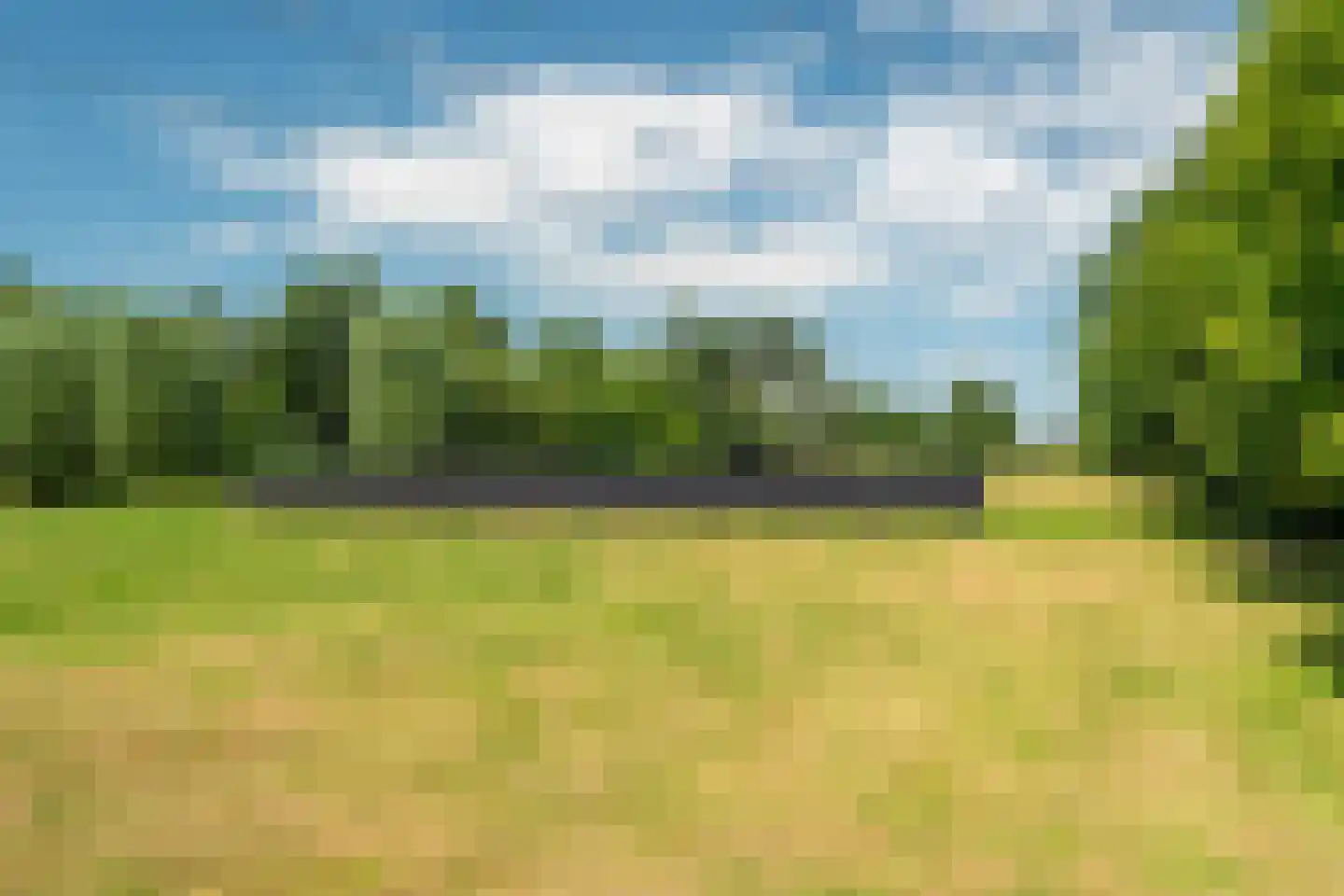 Rietweg 20 Peize thumbnail 83