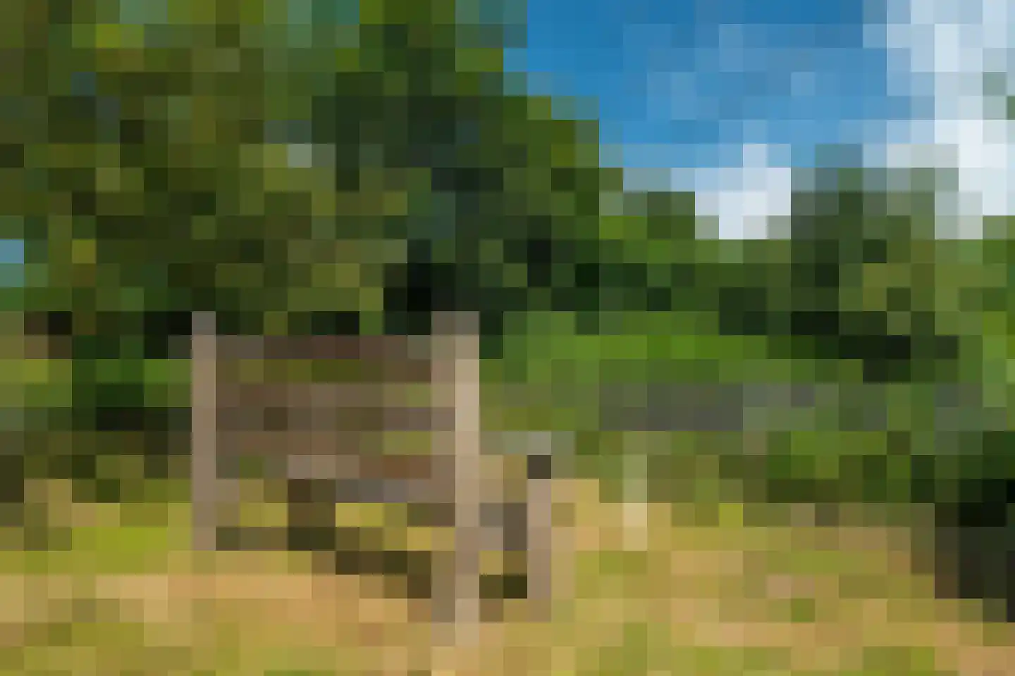 Rietweg 20 Peize thumbnail 84