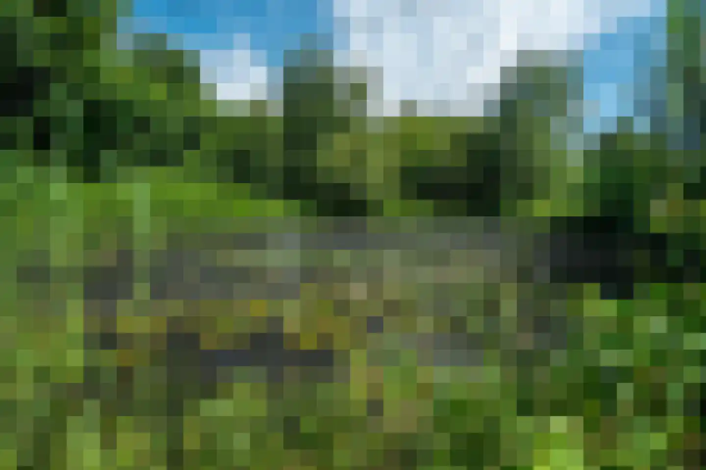 Rietweg 20 Peize thumbnail 85