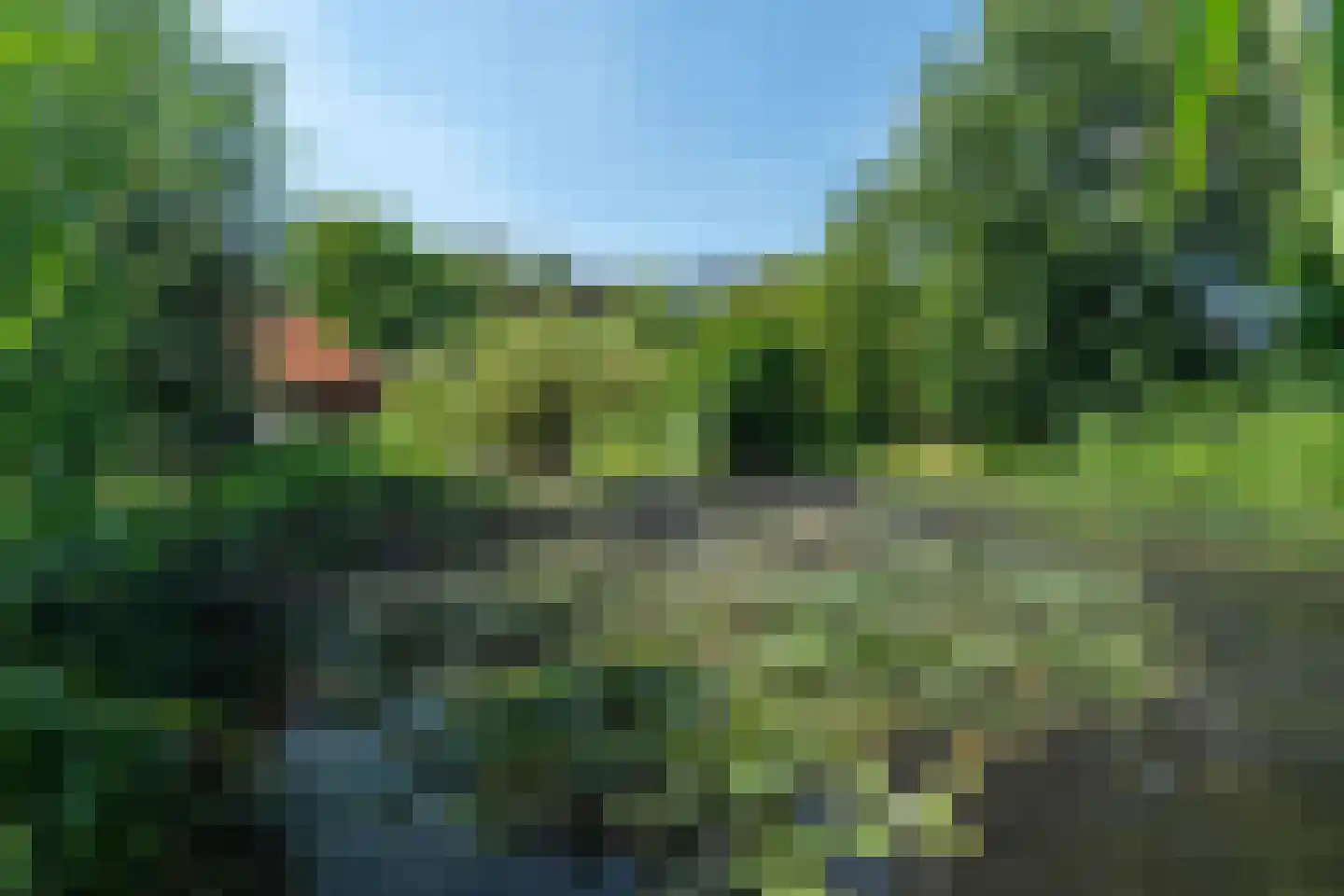 Rietweg 20 Peize thumbnail 86