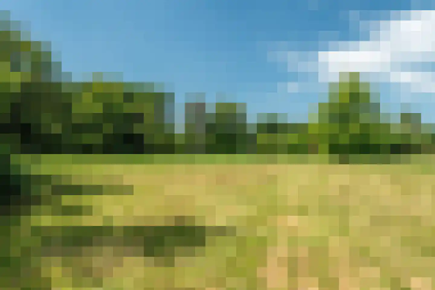 Rietweg 20 Peize thumbnail 87