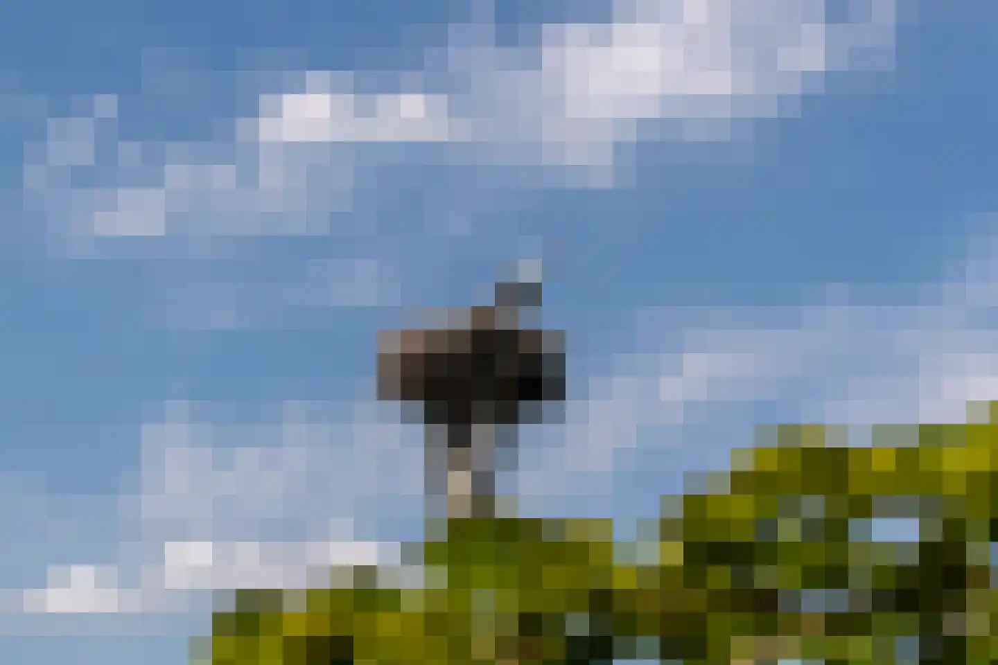 Rietweg 20 Peize thumbnail 89