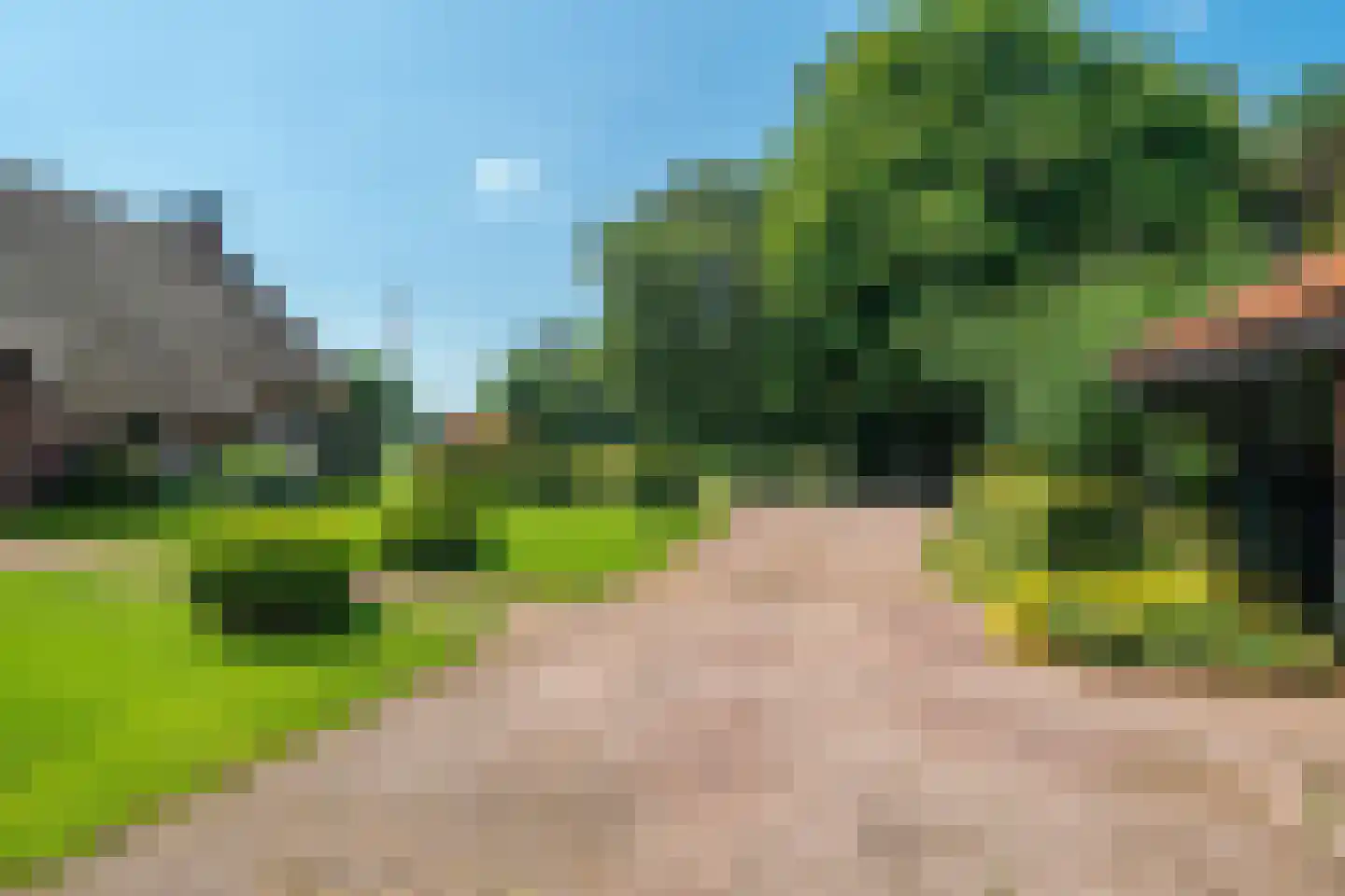 Rietweg 20 Peize thumbnail 9