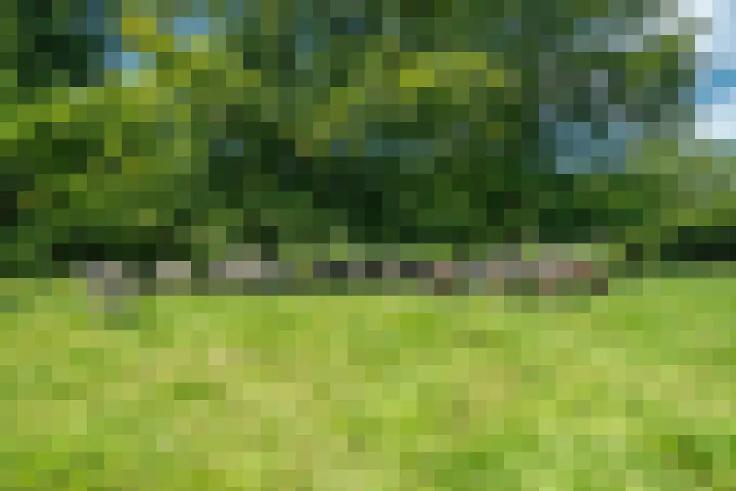 Rietweg 20 Peize thumbnail 90