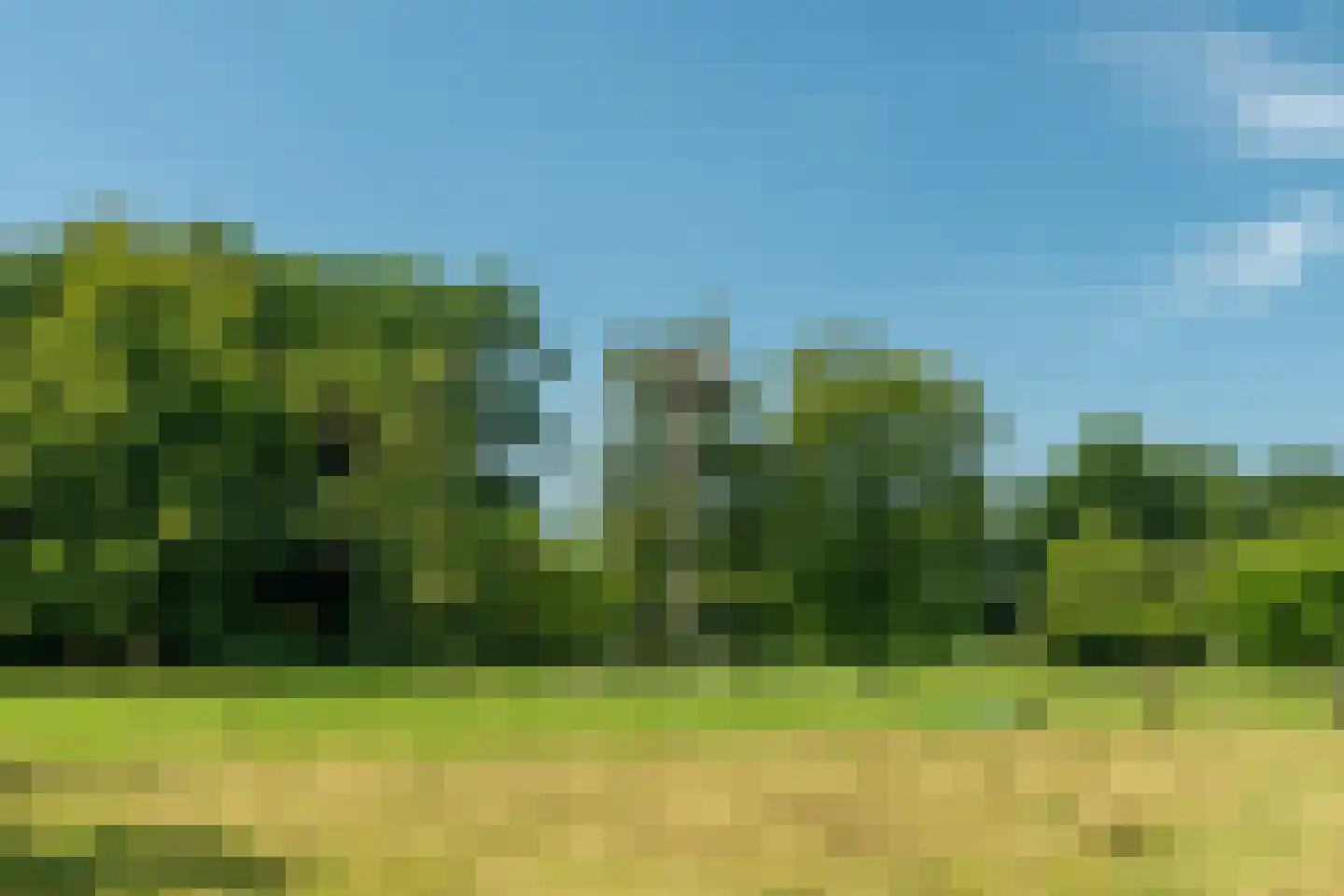 Rietweg 20 Peize thumbnail 91