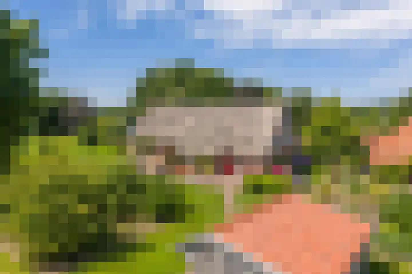 Rietweg 20 Peize thumbnail 94