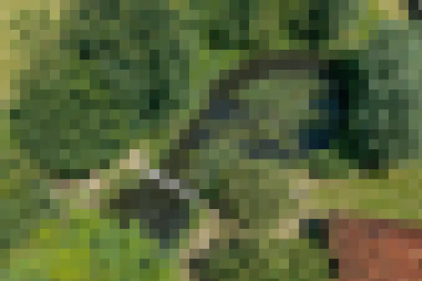 Rietweg 20 Peize thumbnail 97