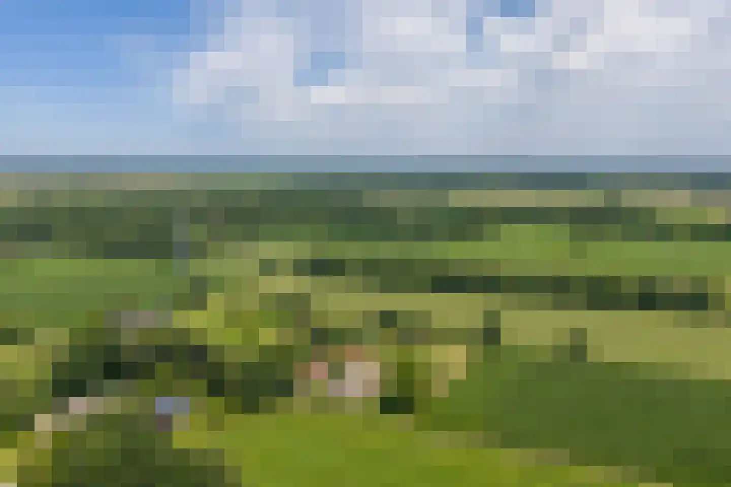 Rietweg 20 Peize thumbnail 99