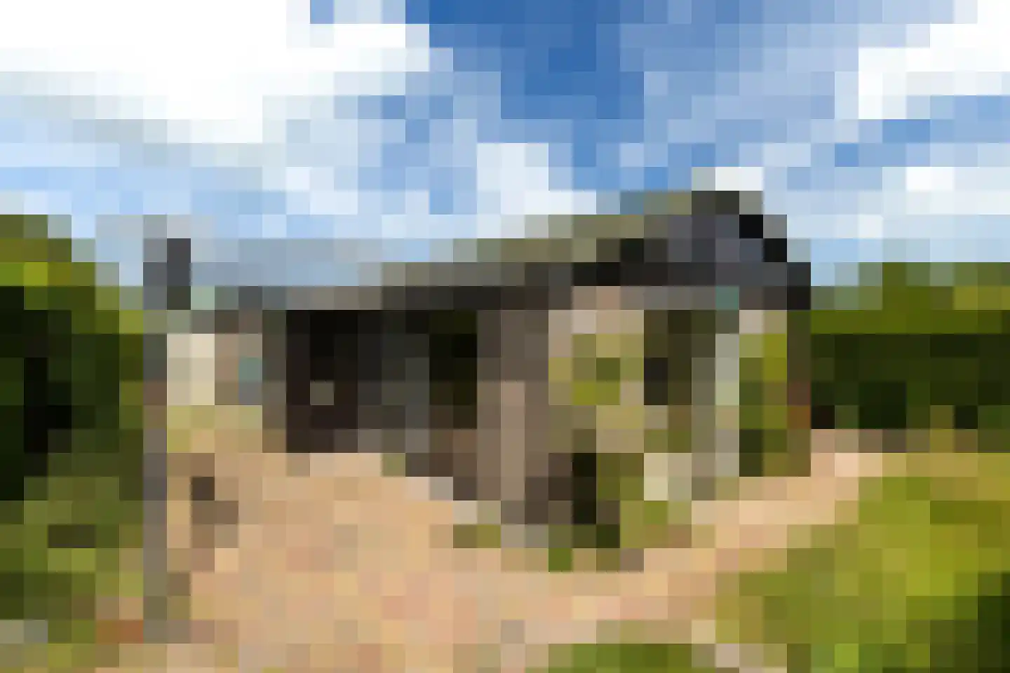 Rietweg 84 48 Lelystad foto 2
