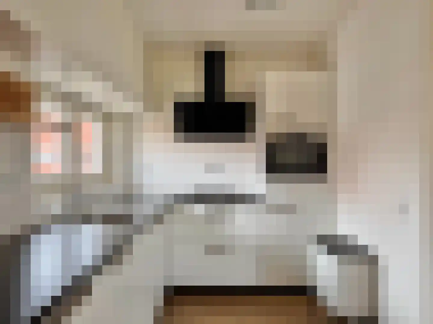 Rietwijkerstraat 12 2 Amsterdam thumbnail 13