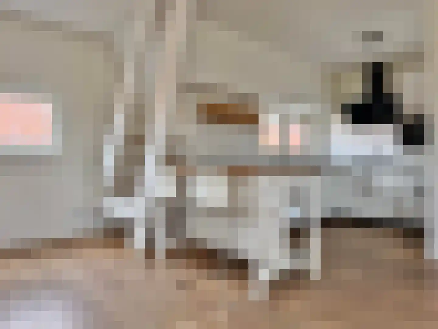Rietwijkerstraat 12 2 Amsterdam thumbnail 15
