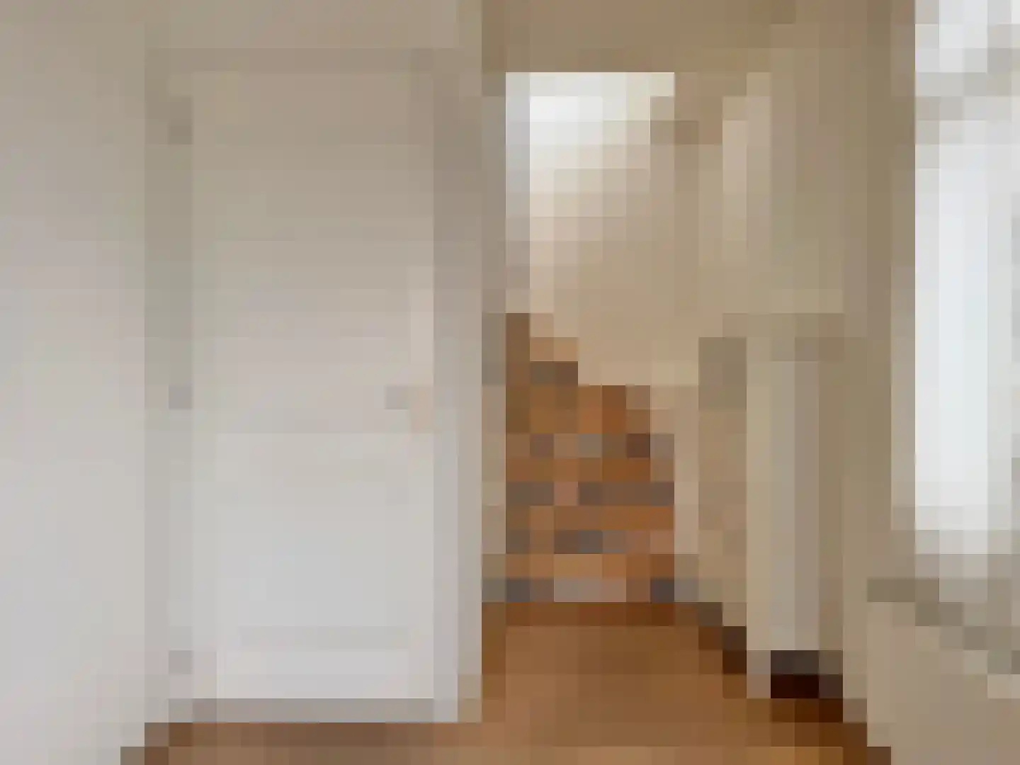Rietwijkerstraat 12 2 Amsterdam thumbnail 18