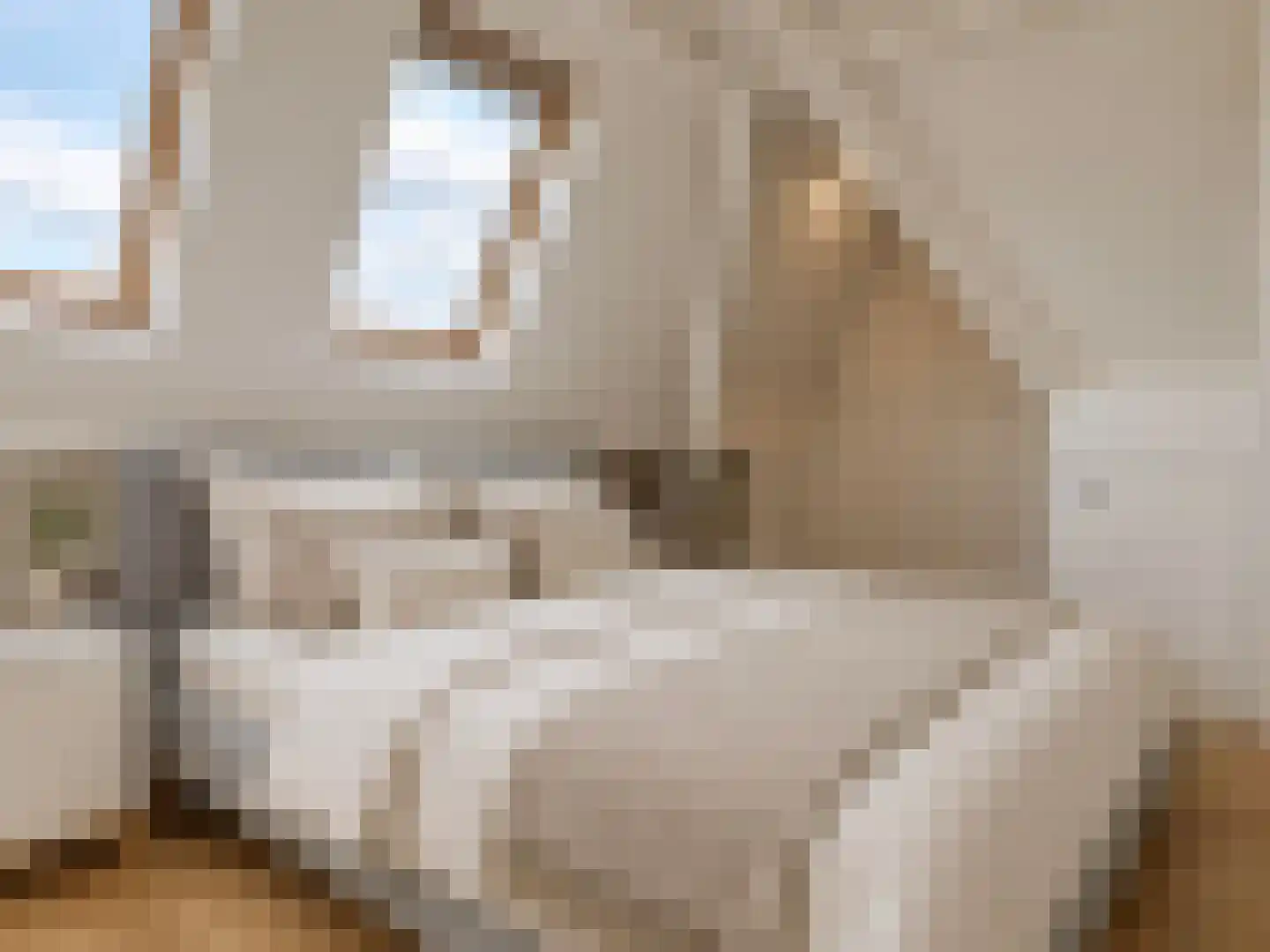Rietwijkerstraat 12 2 Amsterdam thumbnail 20