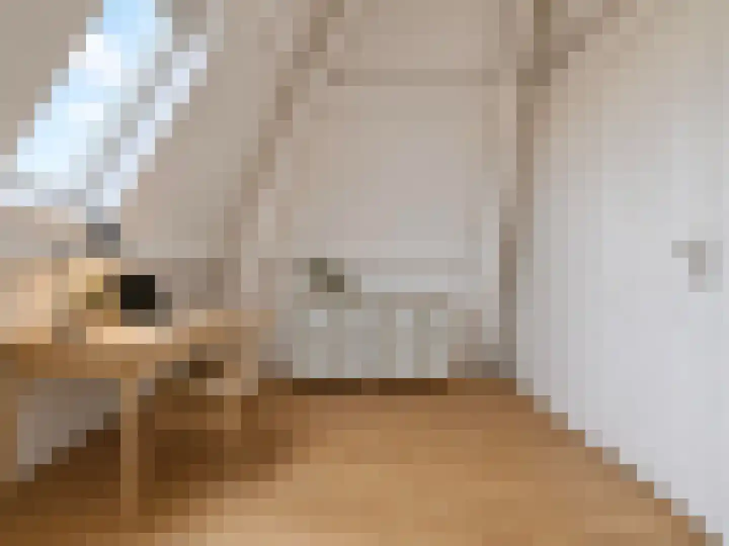 Rietwijkerstraat 12 2 Amsterdam thumbnail 22