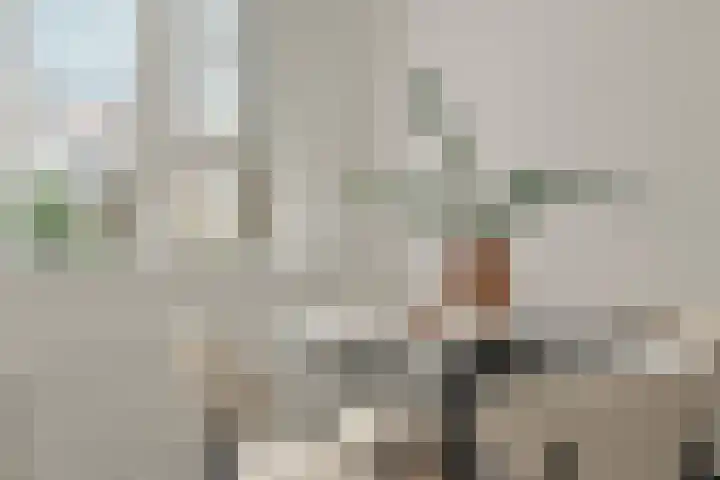 Rietwijkerstraat 39 2 Amsterdam thumbnail 14