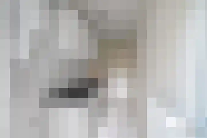 Rietwijkerstraat 41 H Amsterdam thumbnail 16