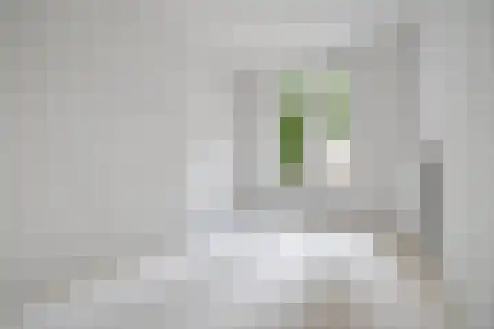 Rietwijkerstraat 41 H Amsterdam thumbnail 5