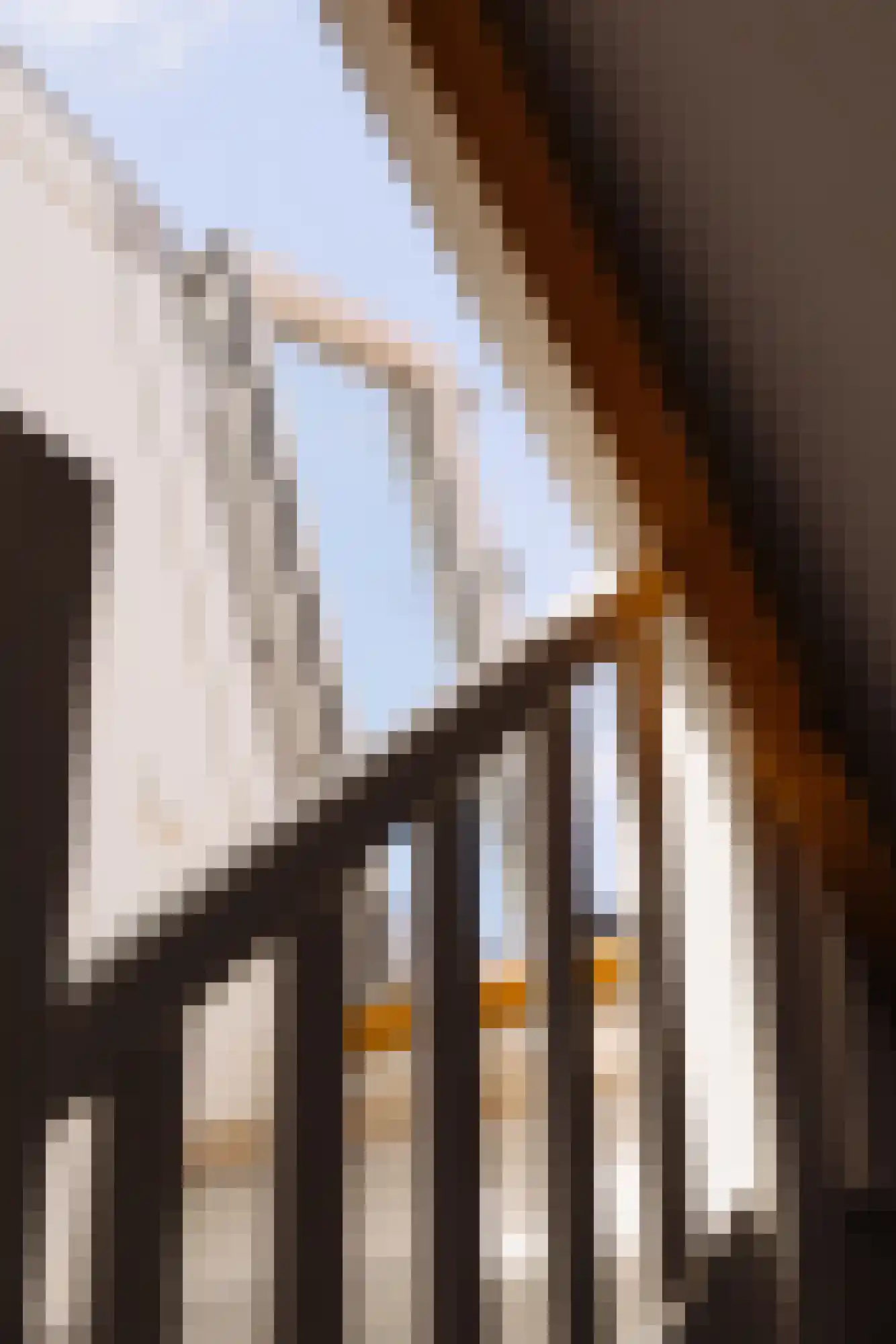 Rietwijkerstraat 44 2 Amsterdam thumbnail 24