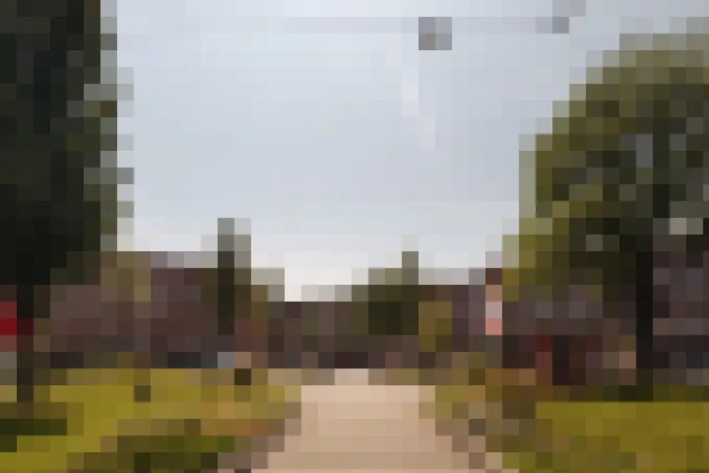 Rietwijkerstraat 44 2 Amsterdam thumbnail 29