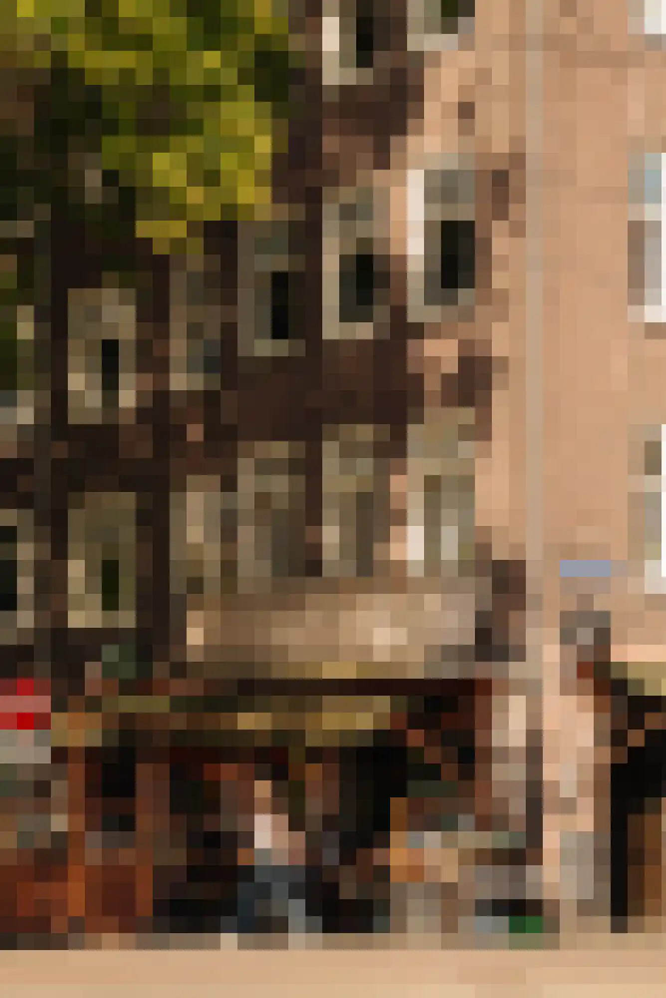 Rietwijkerstraat 44 2 Amsterdam thumbnail 32