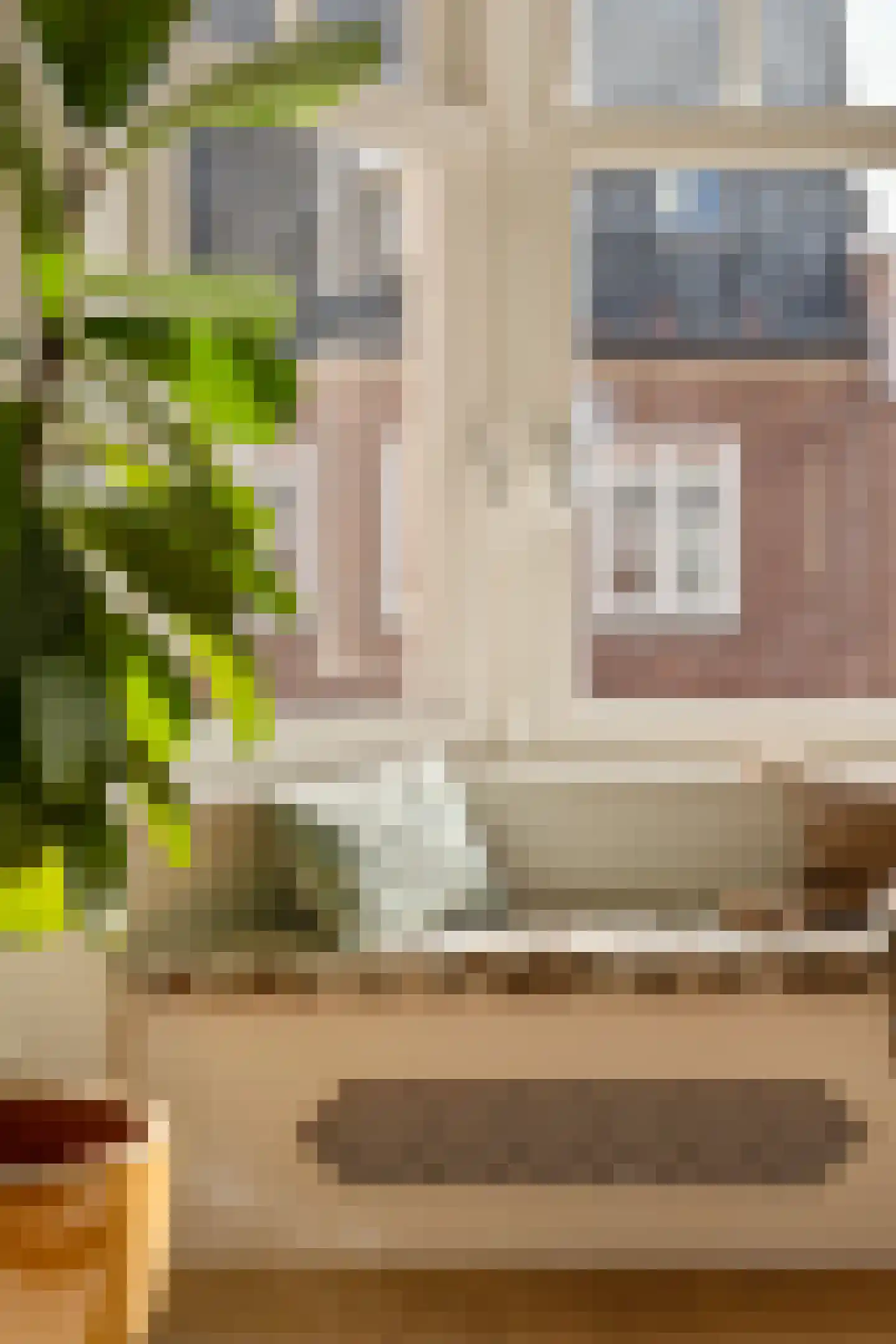 Rietwijkerstraat 46 2 Amsterdam thumbnail 13