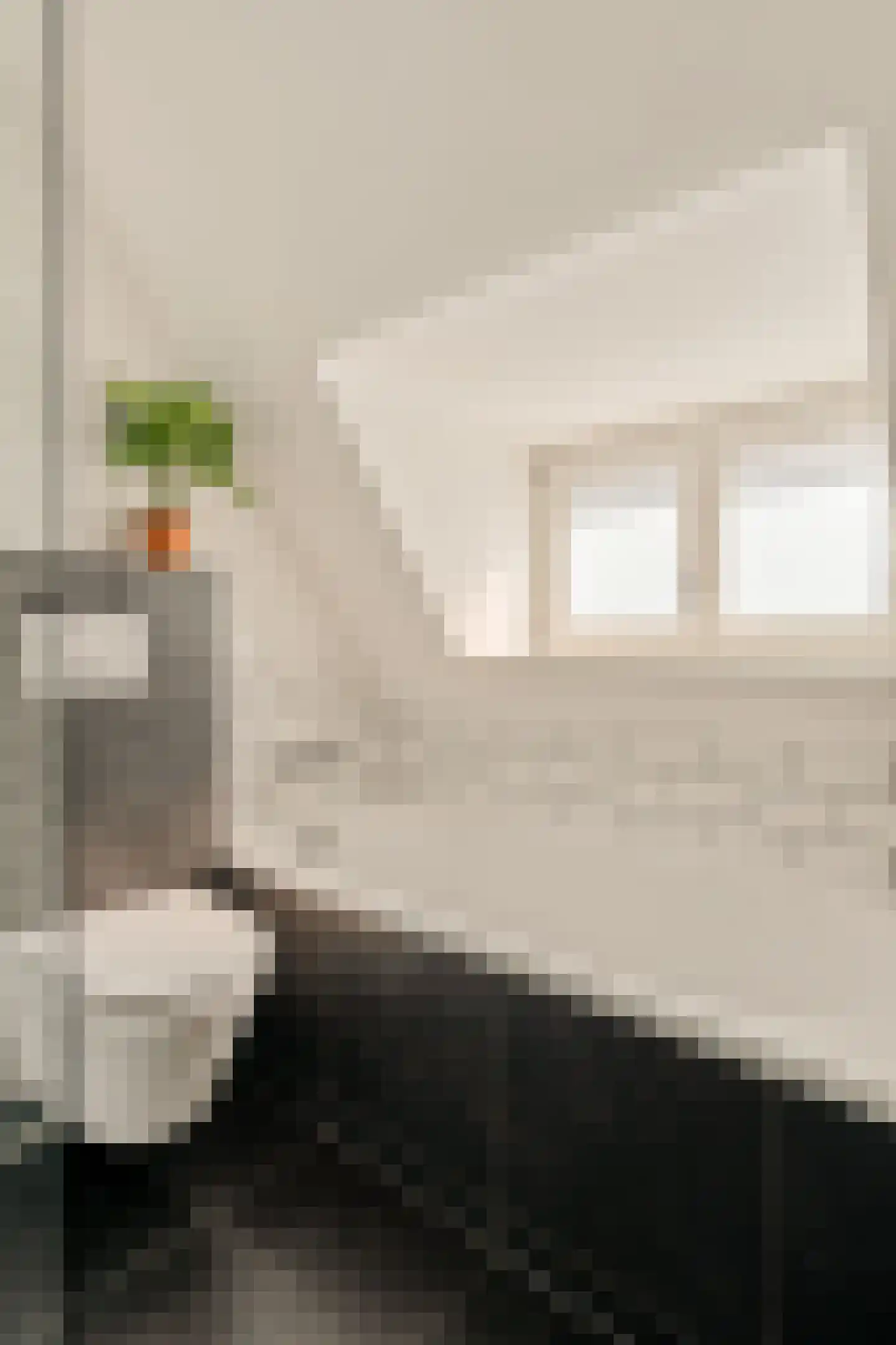 Rietwijkerstraat 46 2 Amsterdam thumbnail 27