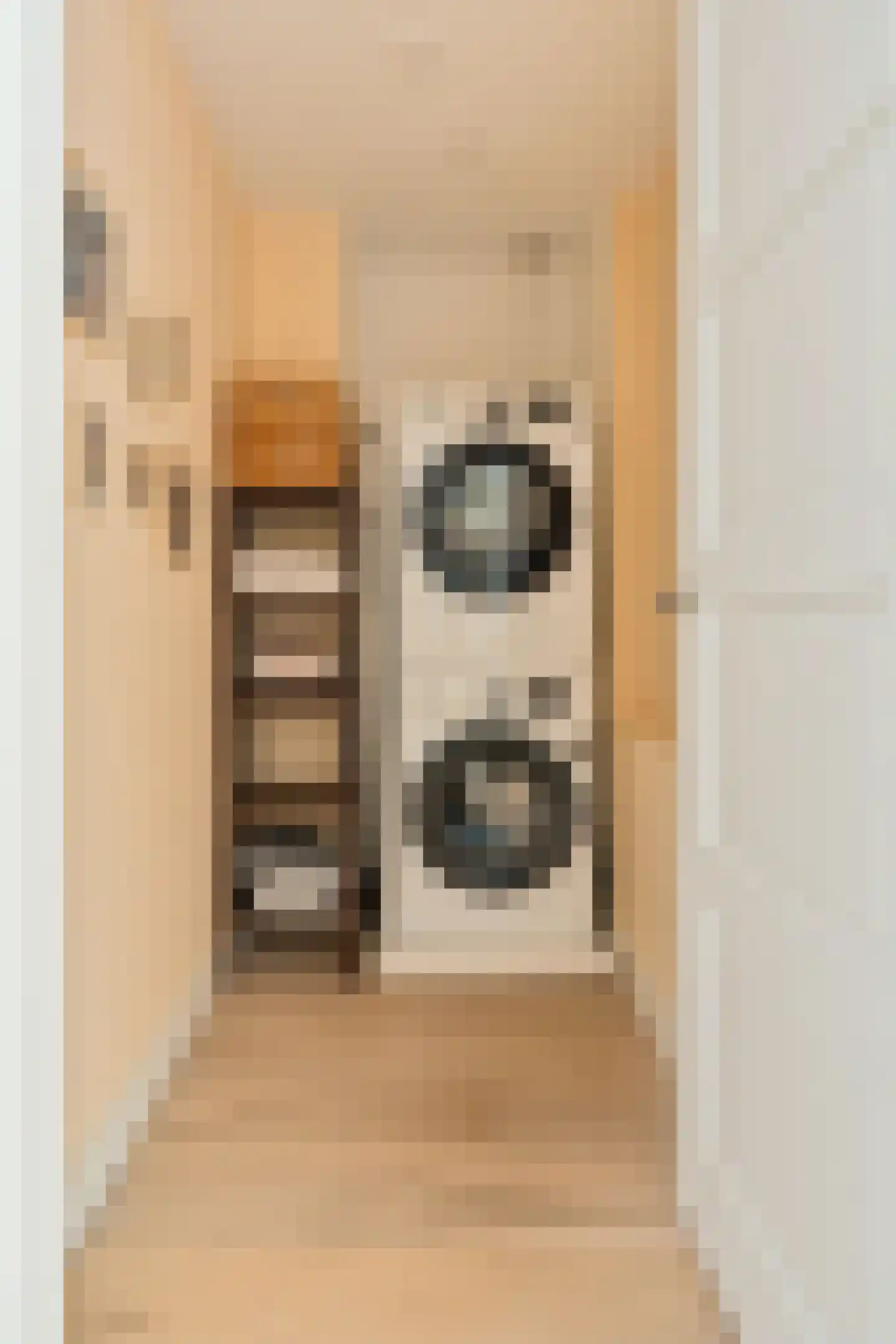 Rietwijkerstraat 46 2 Amsterdam thumbnail 45