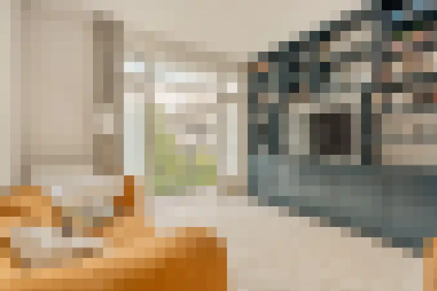 Rietwijkerstraat 46 2 Amsterdam thumbnail 5