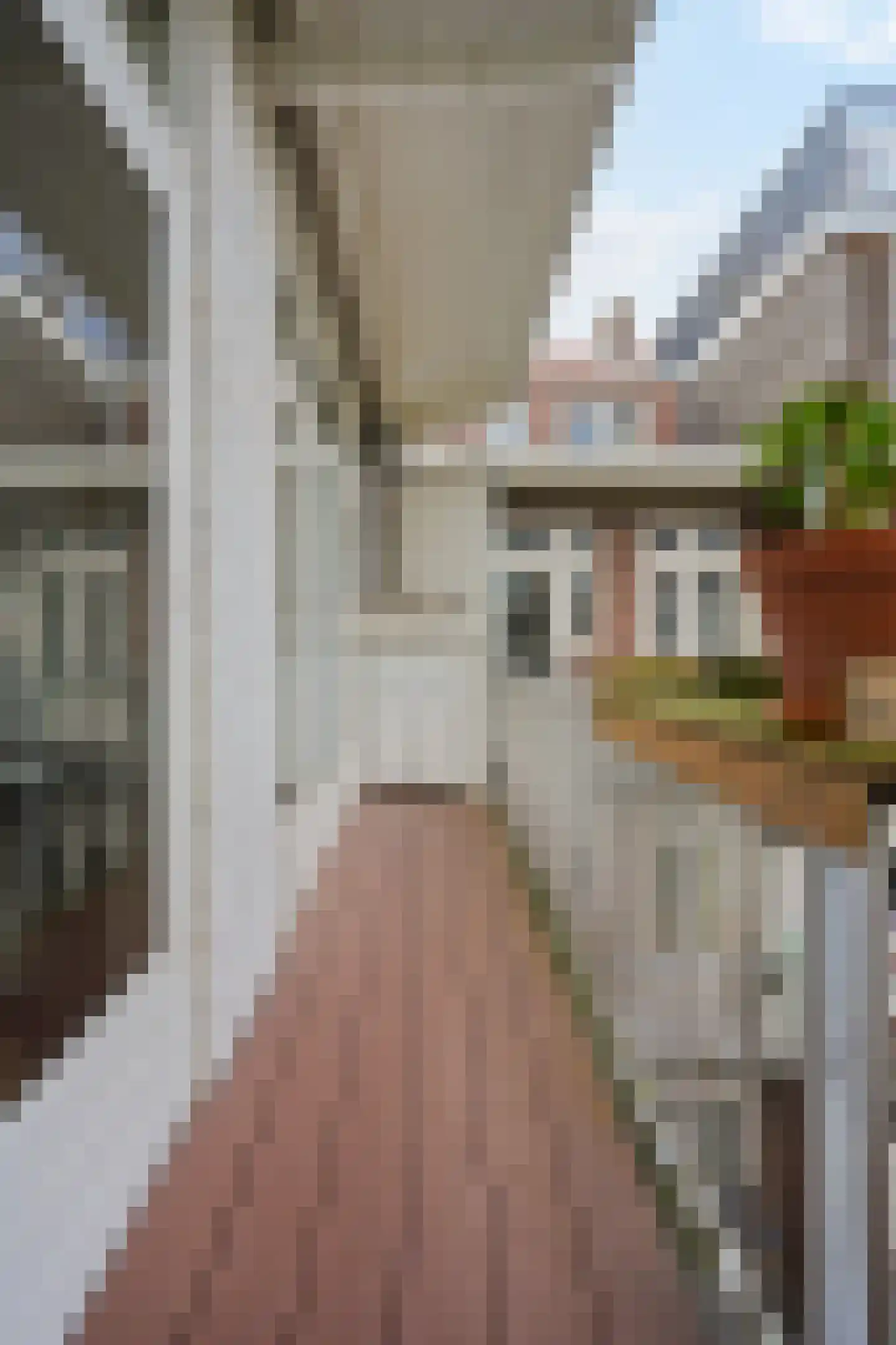 Rietwijkerstraat 46 2 Amsterdam thumbnail 9