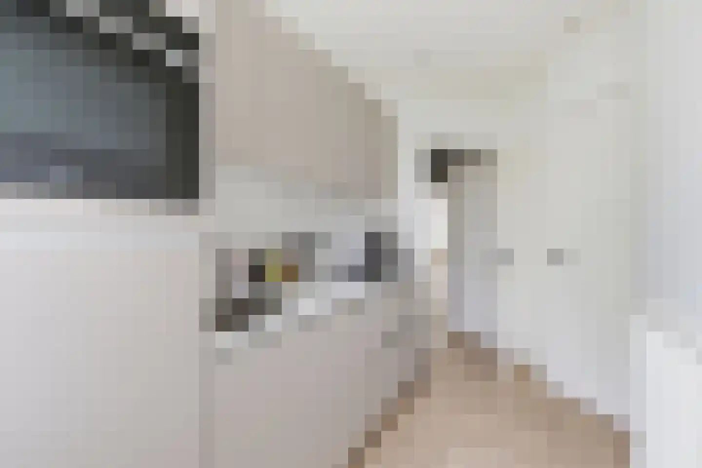 Rietwijkerstraat 74 1 Amsterdam thumbnail 11