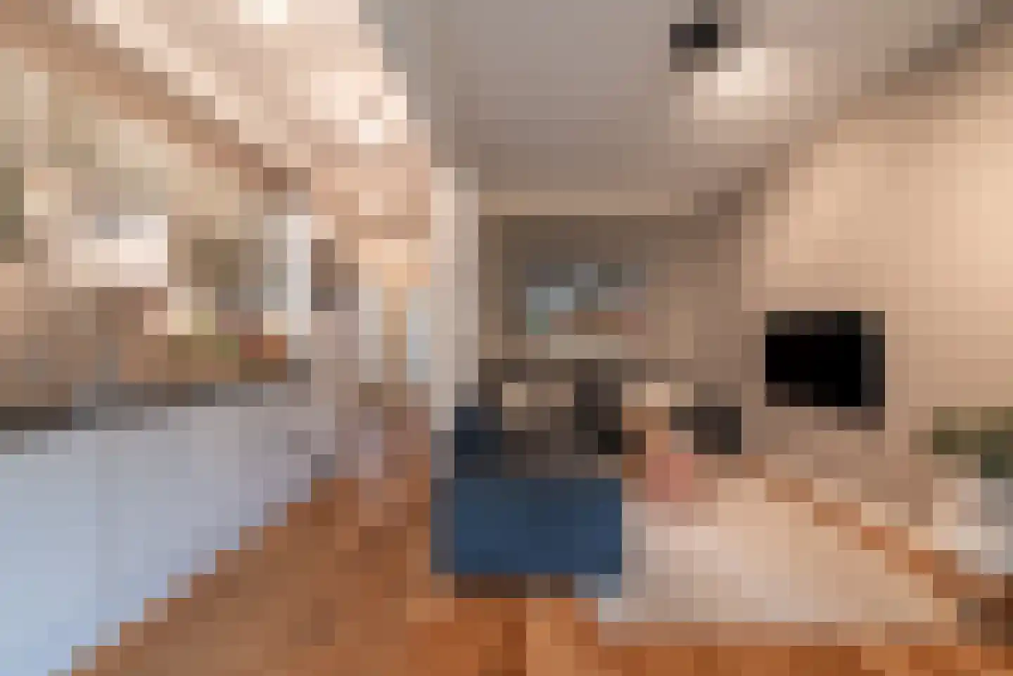 Rietwijkerstraat 87 Amsterdam thumbnail 10