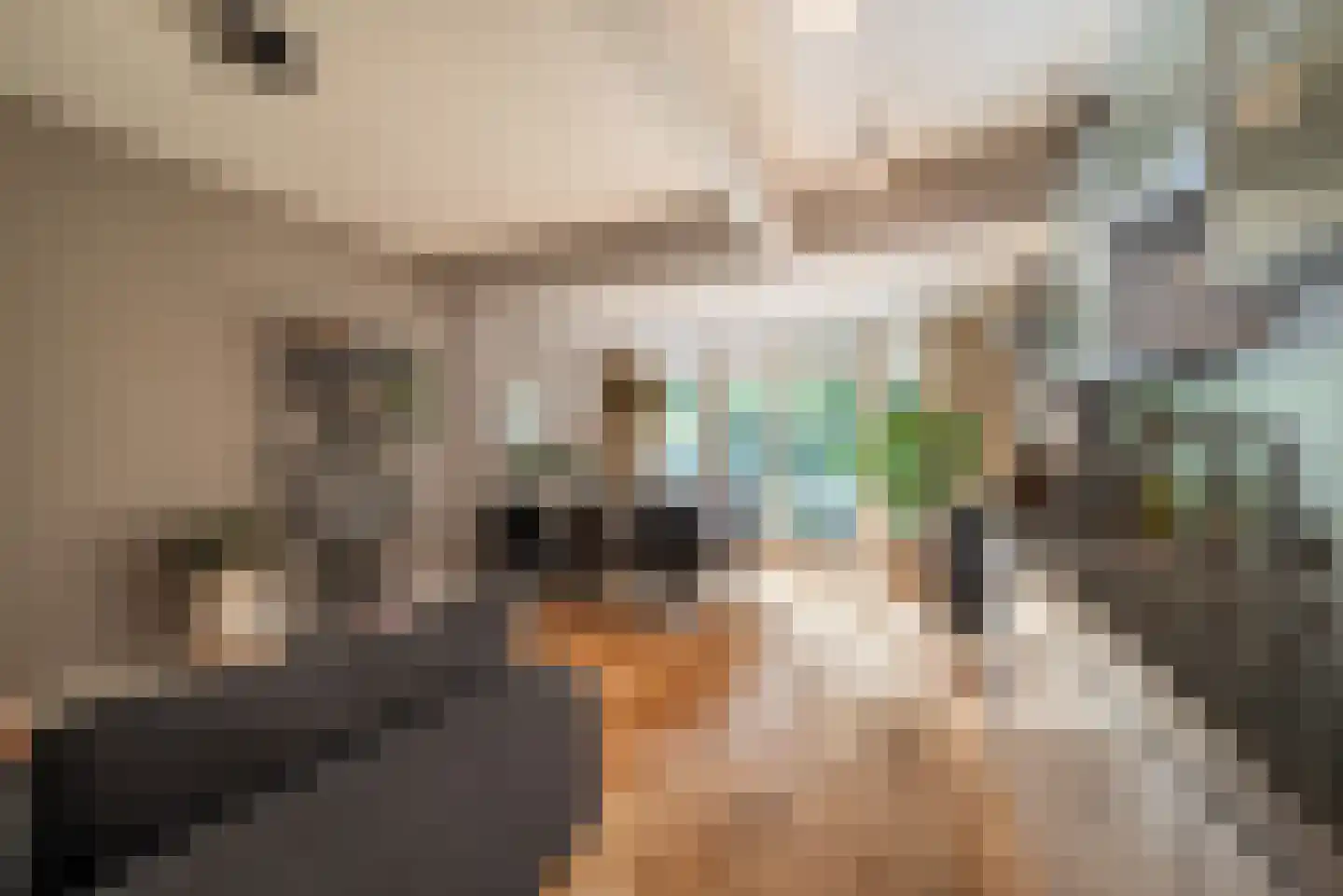 Rietwijkerstraat 87 Amsterdam thumbnail 11