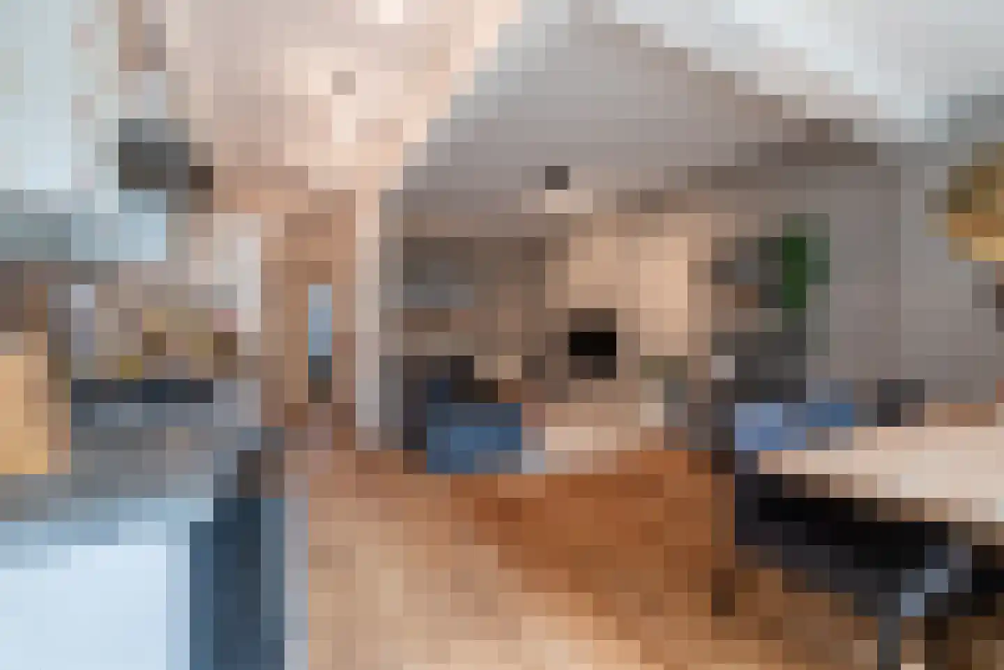 Rietwijkerstraat 87 Amsterdam thumbnail 12