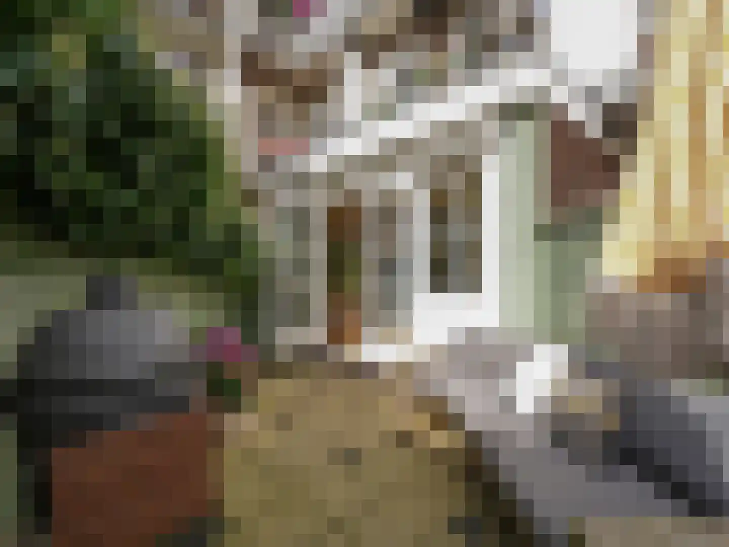 Rietwijkerstraat 87 Amsterdam thumbnail 20